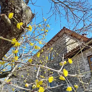 Bujtina Tusha Albanien